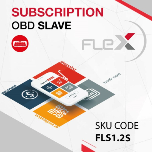 Subskrypcja Flex Slave ECU OBD + Bench FLS1.2S